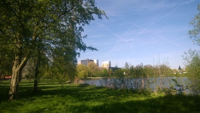 Park in Amsterdam Noord